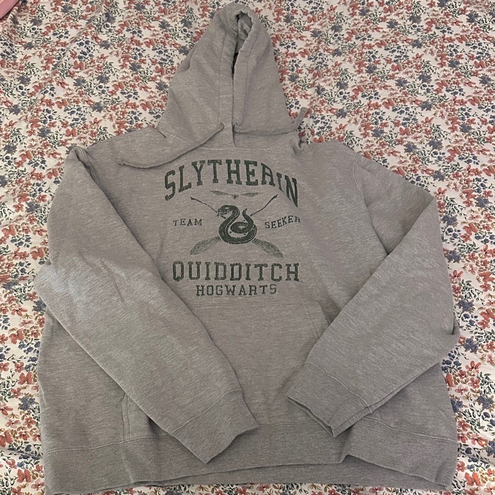 Slytherin Gray Hoodie for Men